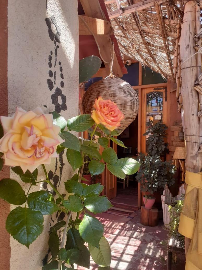 Atlas Room مدلة المظهر الخارجي الصورة